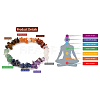 Chakra Jewelry X-BJEW-JB05535-3