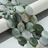 Natural Myanmar Jadeite Beads Strands G-A092-E01-03-2