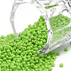 11/0 FGB Grade A Baking Paint Glass Seed Beads X-SEED-N001-A-1024-1