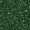 8/0 Glass Seed Beads X2-SEED-A005-3mm-27-2