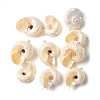 Natural Sea Shell Pendants X-SSHEL-C013-03-1