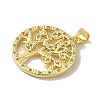 Brass Micro Pave Cubic Zirconia Pendants KK-Z042-25G-03-2