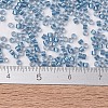 MIYUKI Delica Beads X-SEED-J020-DB1762-4