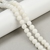 Natural Bodhi Root Beads Strand WOOD-B010-C02-8mm-1