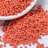MIYUKI Round Rocailles Beads X-SEED-G008-RR0424-1