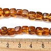 Natural Amber Beads Strands G-K387-E01-01-5