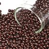 (Repacking Service Available) Baking Paint Glass Seed Beads SEED-C024-C-K18-1