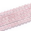 Natural Rose Quartz Beads G-H266-23-1