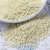 MIYUKI Round Rocailles Beads X-SEED-G009-RR0491-1