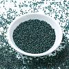 MIYUKI Delica Beads SEED-MY11-DB0276-2