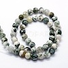 Natural Tree Agate Beads Strands X-G-I199-03-4mm-2