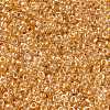 MIYUKI Round Rocailles Beads SEED-JP0010-RR0234-3