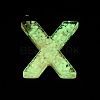 Luminous Resin Pendants X1-RESI-I059-X01-3
