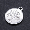 201 Stainless Steel Charms STAS-N090-T854-2