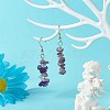 Natural Amethyst Chip Beads Dangle Earrings EJEW-JE04649-05-2