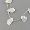 Natural Sea Shell Beads Strands SSHEL-Q296-01-2