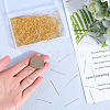 600Pcs Jewelry Findings KK-SP0001-71B-G-3