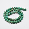 Round Natural Imperial Jasper Beads G-I122-4mm-05-3