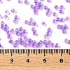 Glass Seed Beads SEED-S042-13A-10-4