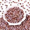 Picasso Glass Seed Beads SEED-N010-01J-2