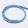 Synthetic Turquoise Beads Strands G-G968-D15-2