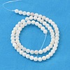 Natural Shell Beads Strands PRS001Y-2