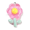 Translucent Resin Pendants RESI-G078-01H-1