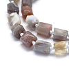 Natural Botswana Agate Beads Strands G-O170-39B-3