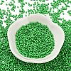 Baking Paint Glass Seed Beads SEED-S042-05B-56-2