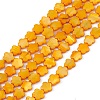 Natural Freshwater Shell Dyed Beads Strands SHEL-K001-001H-1