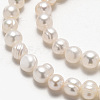 Natural Cultured Freshwater Pearl Beads Strands X-SPPA004Y-1-4