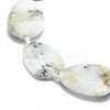Natural White Opal Bead Strands G-O179-J08-3