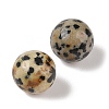 Natural Dalmatian Jasper No Hole Sphere Beads G-K353-04B-16-2