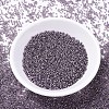MIYUKI Delica Beads SEED-MY11-DB1205-2