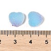 Imitation Candy Food Style Resin Cabochons RESI-R461-01M-4