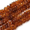 Natural Amber Beads Strands G-K376-C01-01-2