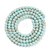 Synthetic Turquoise Beads Strands G-U004-02Q-3
