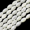 Natural Trochid Shell/Trochus Shell Beads Strands SH-CBA2978-09-1