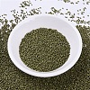 MIYUKI Delica Beads SEED-MY11-DB0371-2