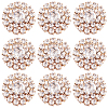 30Pcs Alloy Rhinestone Cabochons ALRI-GA0001-09KCG-1