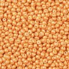6/0 Glass Seed Beads X1-SEED-L011-08A-19-3