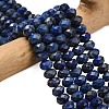 Natural Lapis Lazuli Beads Strands G-Z111-A26-1