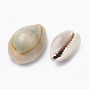 Cowrie Shell Beads SSHEL-T004-04-2