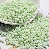 Macaron Color Opaque Frosted Glass Seed Beads X1-SEED-K009-12B-06-1