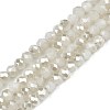 Electroplate Opaque Solid Color Glass Beads Strands X-EGLA-Q112-B02-1