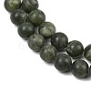 Natural Gemstone Beads Z0SRR015-6