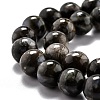 Natural Glaucophane Beads Strands G-L574-01C-3
