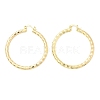 Brass Hoop Earrings EJEW-B117-06E-G-4