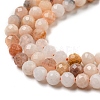 Natural Pink Aventurine Beads Strands G-A097-A05-04-4