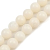 Natural Bodhi Root Beads Strand WOOD-B010-C02-12mm-2